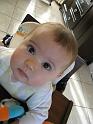 2008_01_26 (12)